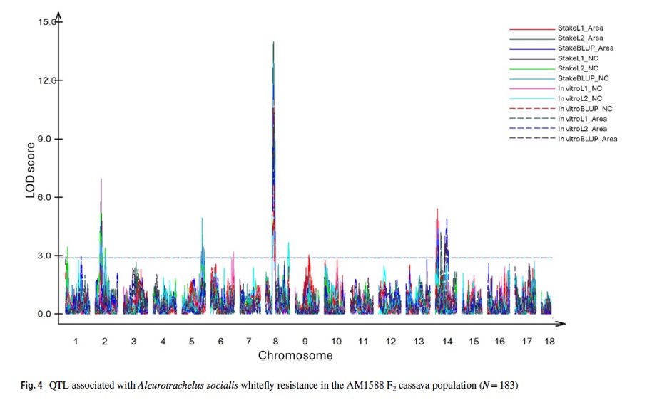 Graph displaying quantitative data across chromosomes with multiple colored lines and peaks.